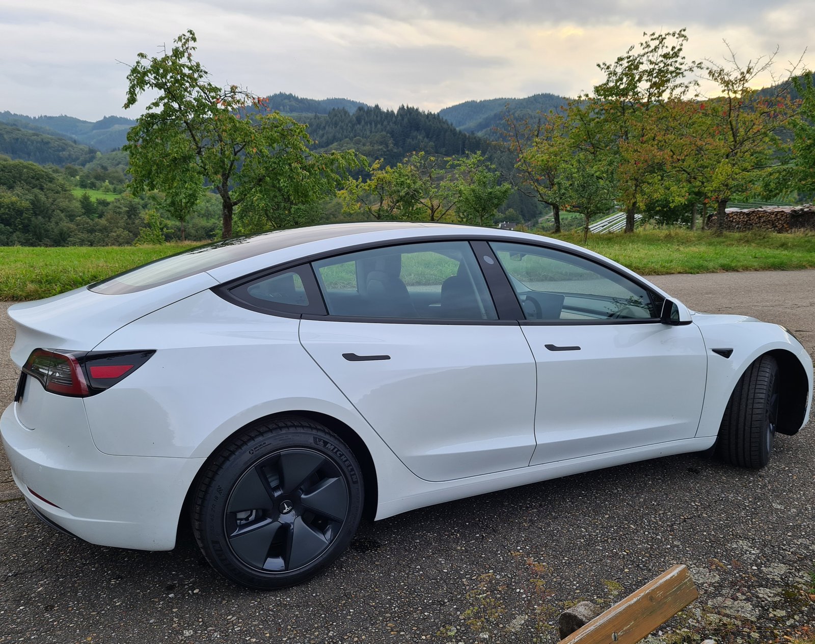 Tesla verkaufen Vorarlberg
