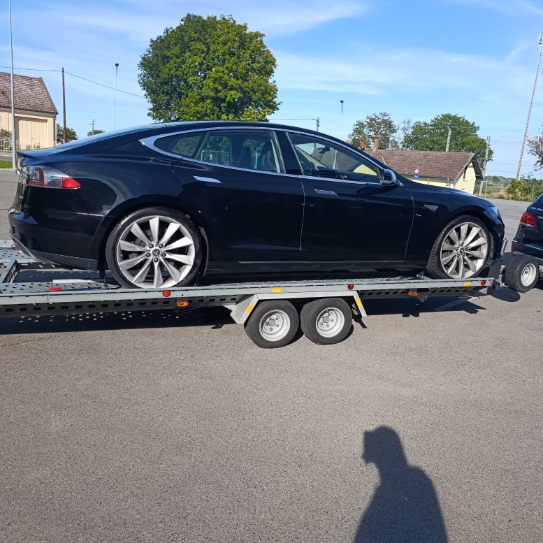 tesla inzahlungnahme